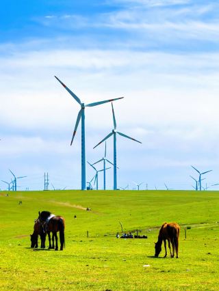 3-Day Trip to Hohhot, Inner Mongolia: Super Practical Guide