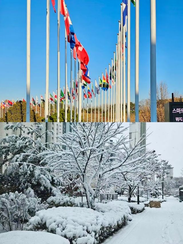 打卡平昌郡 這個冬天你值得擁有