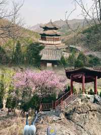 濱州·鶴伴山｜雲遊鶴伴山，心棲自然間