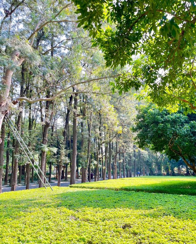 南湖公園，夢幻般的美景等你來