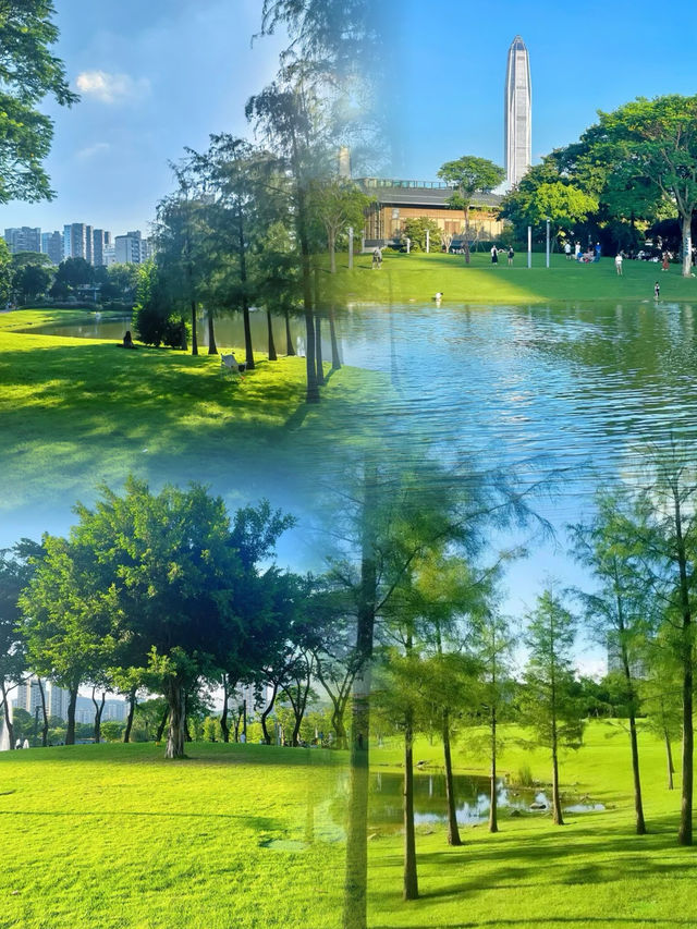 深圳寶藏公園，邂逅城市中的詩意之境
