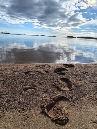 Nordic Friends: Unmissable Travel Guide
