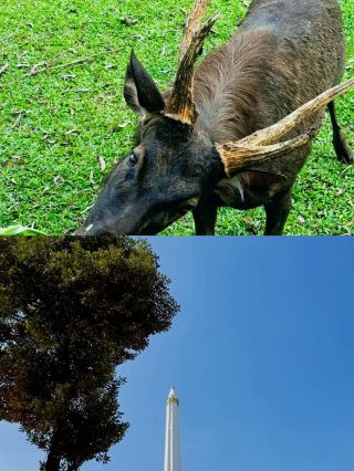 Three days in Bandar Lampung, you can't miss this guide!