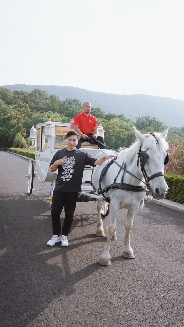 馬車遊覽莊園與雙人下午茶的套餐太美好