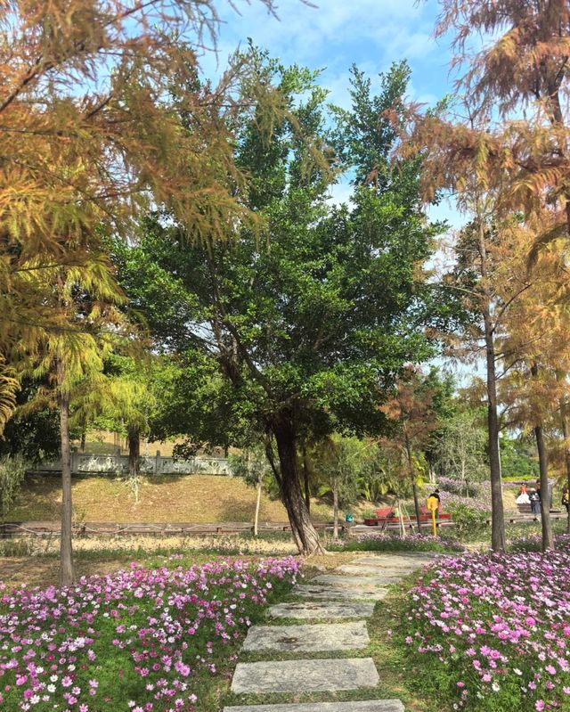 深圳白沙灣公園：有山有海有花的夢幻之地