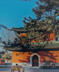 北京地壇攻略，開啟穿越古今的夢幻寧靜之旅