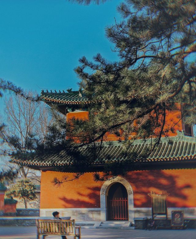 北京地壇攻略，開啟穿越古今的夢幻寧靜之旅