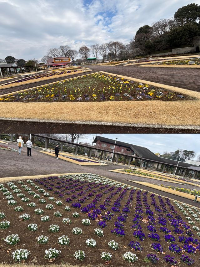 川口市：東京旁的隱秘逸境