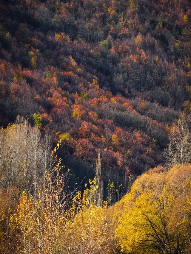 14-Day New Zealand Tour: Explore the North and South Islands