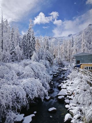 2 Days in Heishui: Winter Wonderland