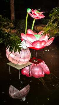 一夜花燈醉