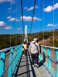 三島市小眾旅行攻略
