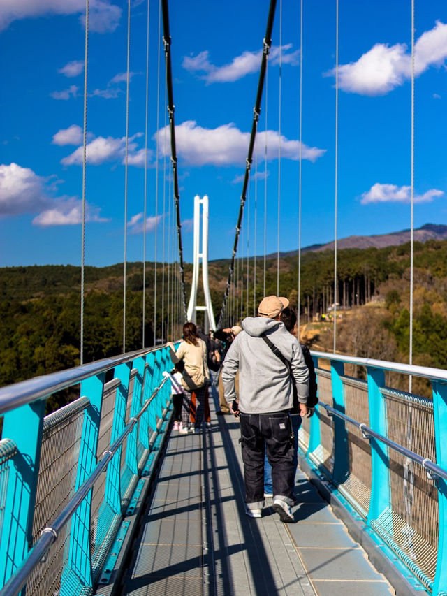三島市小眾旅行攻略