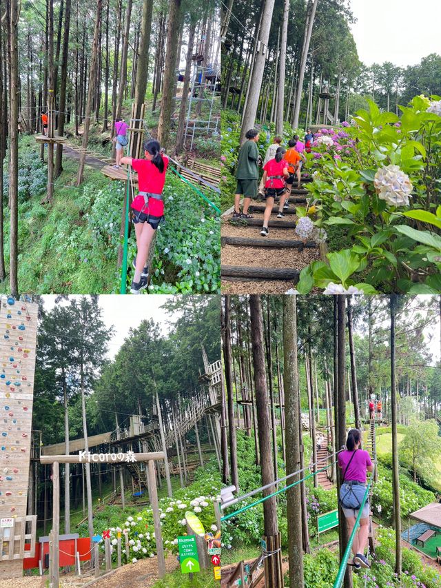 探秘日本三島市：山海間的小眾寶藏