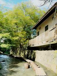 日本三島市旅行指南：邂逅伊豆半島的絕美風光