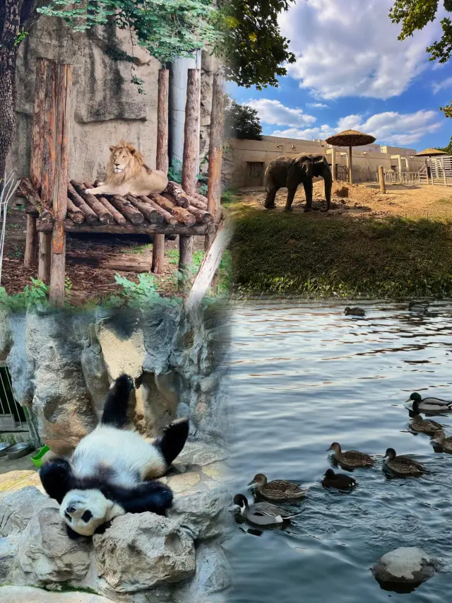 與動物王國的親密接觸