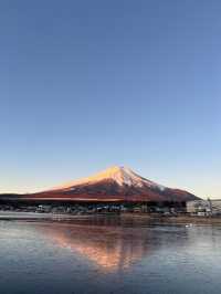 日本8日遊 親子出遊不二之選