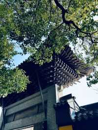 蘇州西山島 | 一場治癒人心的自駕一日遊