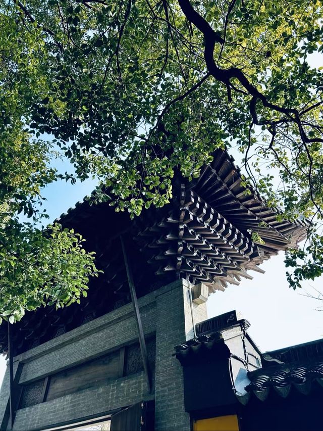蘇州西山島 | 一場治癒人心的自駕一日遊