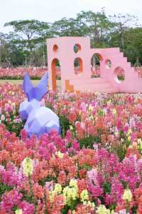 珠海都有夢幻莫奈花園，花開正盛