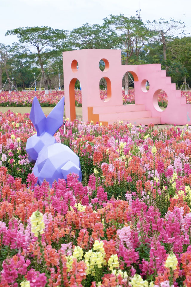 珠海都有夢幻莫奈花園，花開正盛