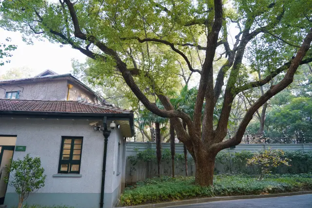 行旅上海 | 成就無數歷史事件的偉人故居