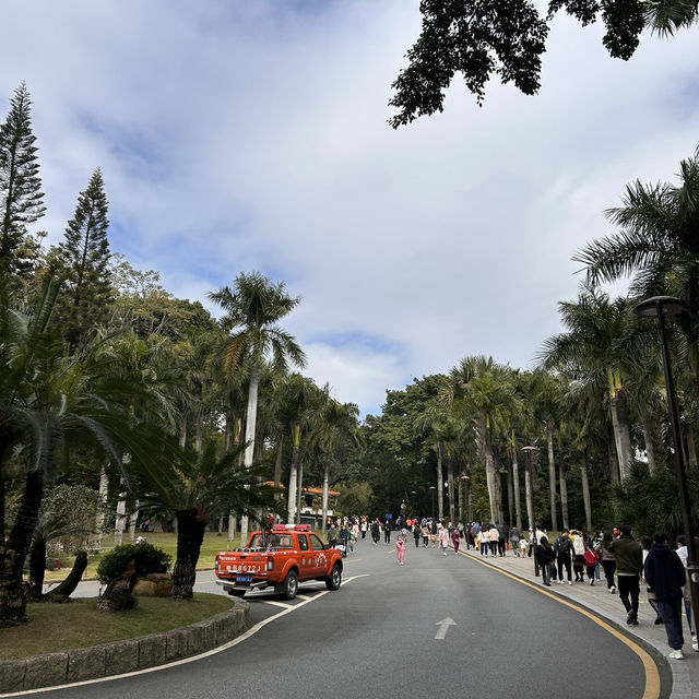 深圳仙湖植物園（含弘法寺）攻略