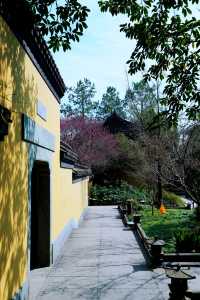 慧英高麗寺