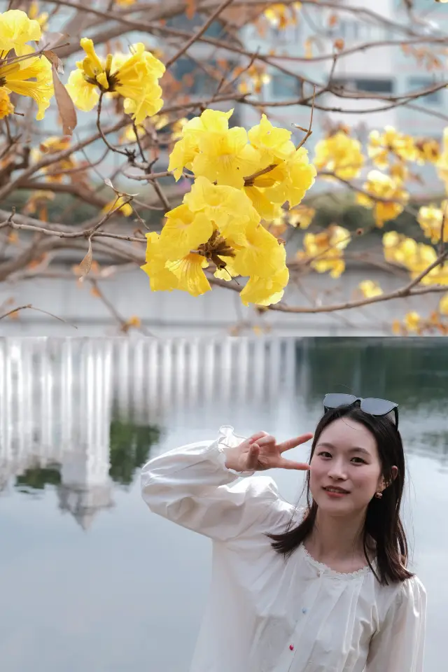 Step into a real-life wonderland at Liuhua Lake Park in Guangzhou this spring.