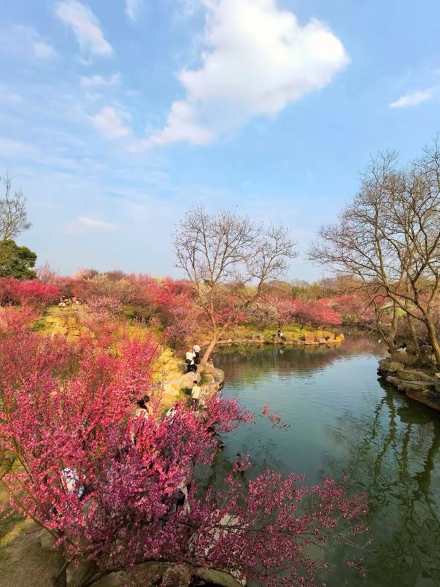 煙花三月下揚州，解鎖親子古韻時光