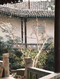 蘇州園林 | 春花灼灼閒庭信步早春賞花攻略