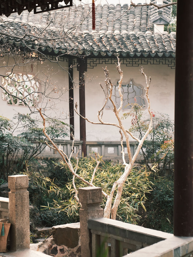 蘇州園林 | 春花灼灼閒庭信步早春賞花攻略