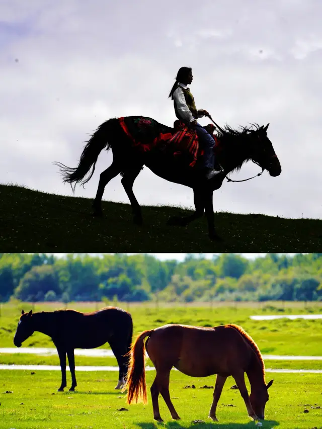 Listening to Yu Shi's song while horseback riding in Altay