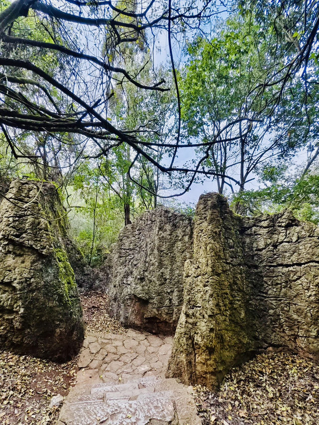 Kunming West Hill attraction for tourists