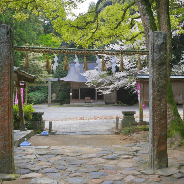🌺福岡系島 | 被低估的隱藏寶藏景點
