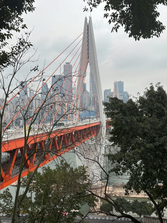 來重慶不只有洪崖洞，這裡夜景也超美