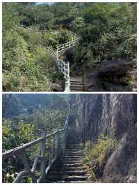 金堡山茶園爬山欣賞自然景觀別有一番情趣