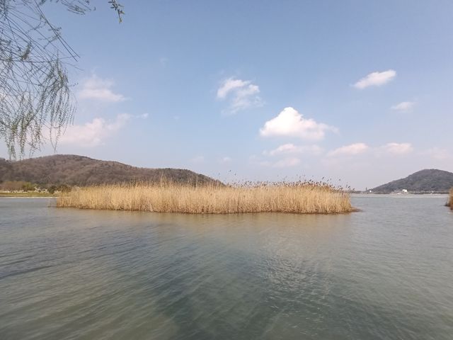 轉水塢金九小道環線徒步：湖光山色中的秘境探險（二）