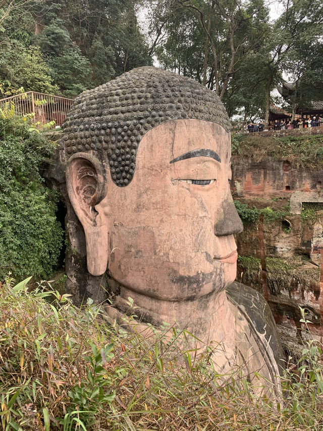 樂山｜臨時抱佛腳🦶