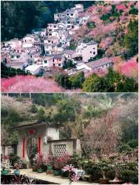歙縣已回，說點難聽大實話跟著音樂去旅行