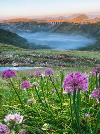 Discover Bijie, Guizhou: A Magical Journey to the Enchanting Xilisi Grassland