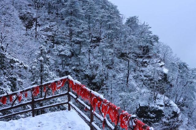 「不識廬山真面目，只緣身在此山中」