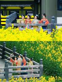 成都周邊｜花香四溢，邂逅浪漫春日
