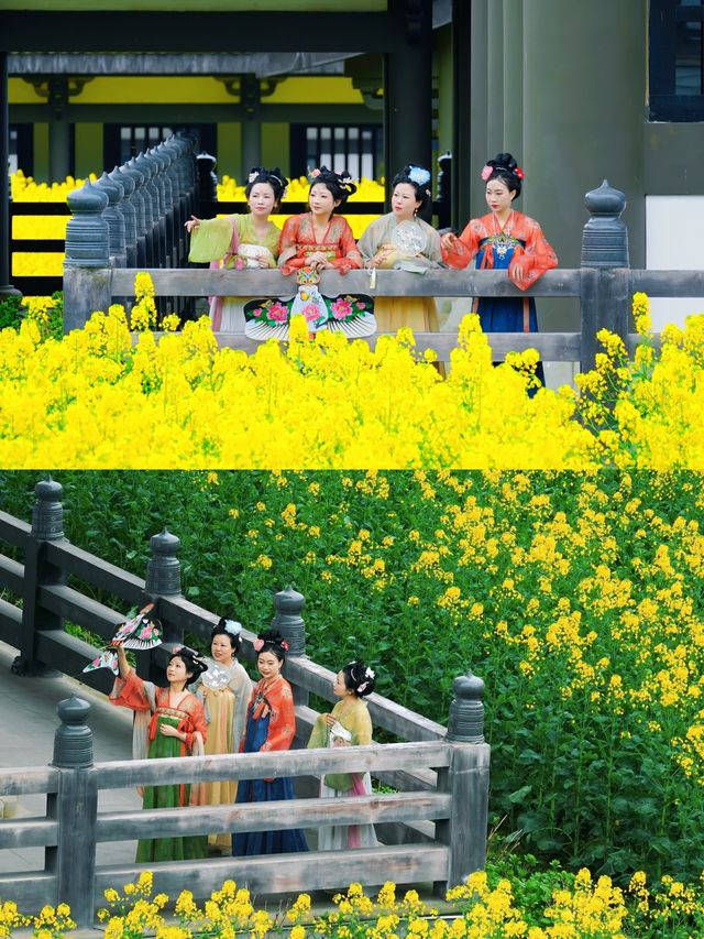 成都周邊｜花香四溢，邂逅浪漫春日