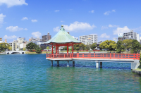「福岡食買玩三連擊🔥｜西公園千本櫻+美食夜市掃街+234米夜景塔」