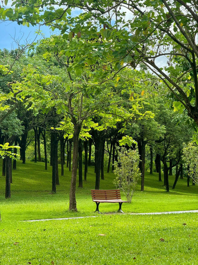 南山公園,超級愜意的深圳城市綠洲✨ 南山公園,超級愜意的深圳城市綠洲✨