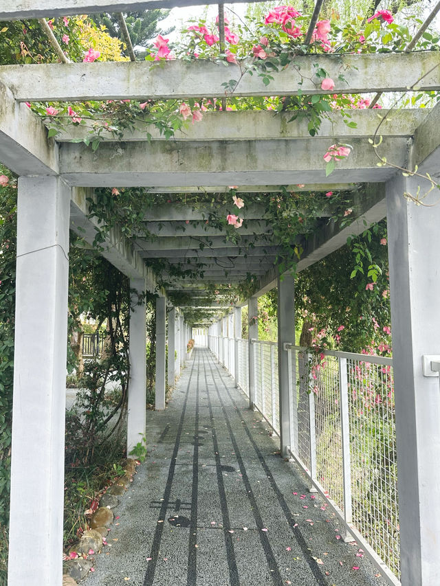 前有水後有靠山，風水極佳
