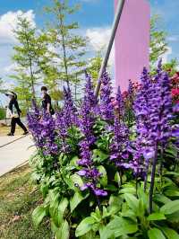 ITS STILL SPRING IN LOTUS PARK 🌷🌻🌺