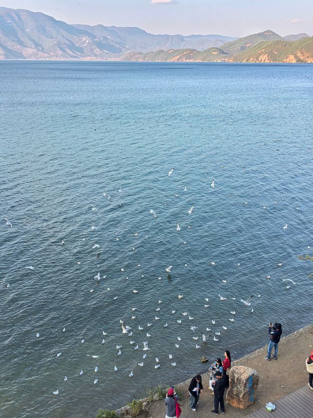 【瀘沽湖の四月絮語】住在三色雲河的日子，連風都在寫情詩