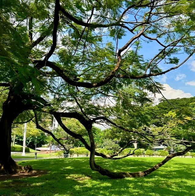 🎉《新加坡隱藏寶藏地，必去！》🎉